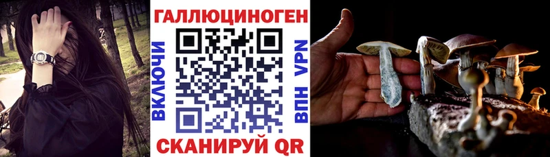 Галлюциногенные грибы Psilocybine cubensis  Дубна 